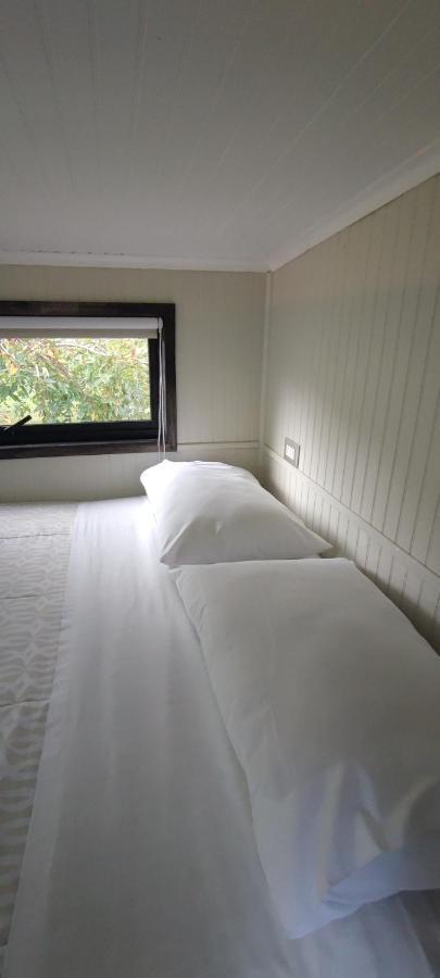 Cabanas Alto Bosque Pucón Eksteriør billede
